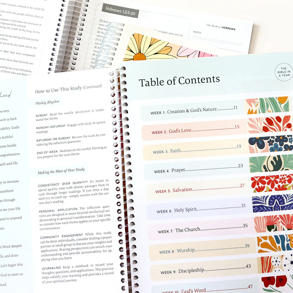 Bible Study and Highlighting Essentials