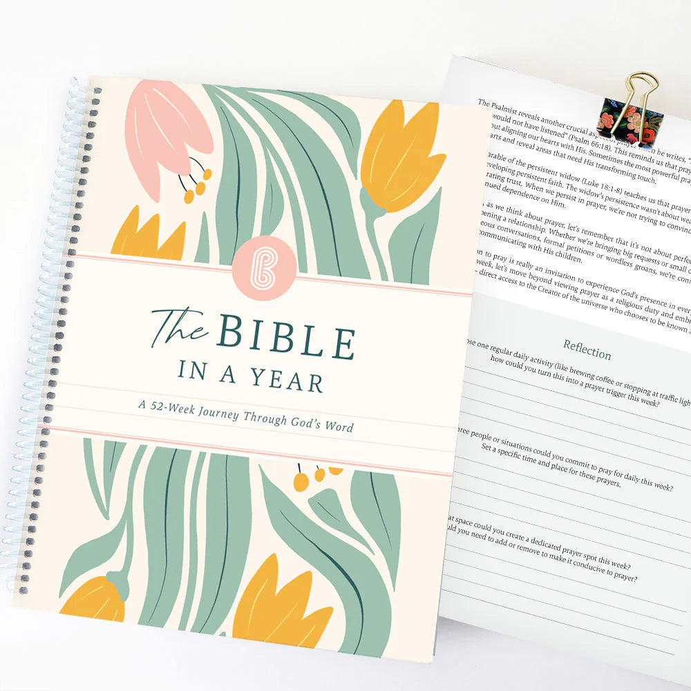 Bible Study and Highlighting Essentials
